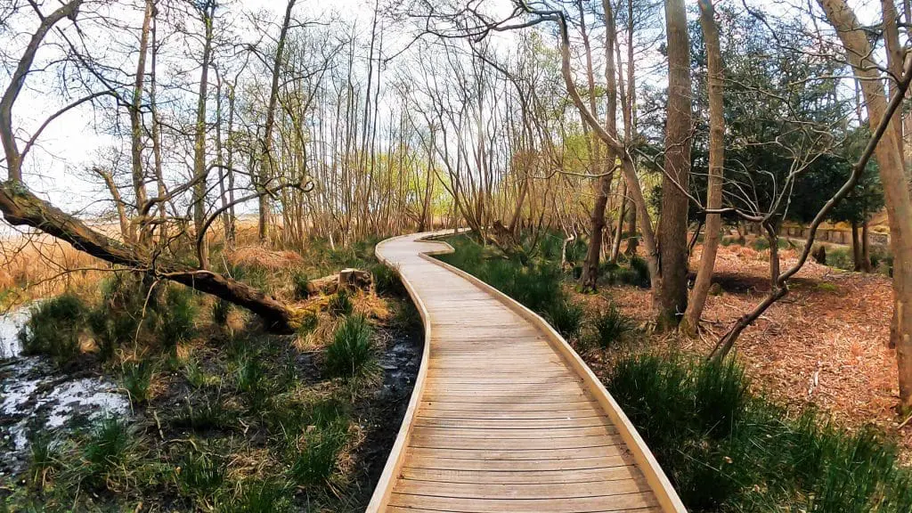 Nature trail around Brownsea Island