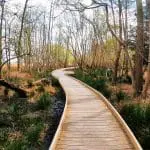 Nature trail around Brownsea Island