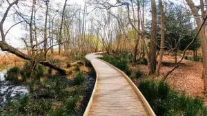 Brownsea Island Thumb
