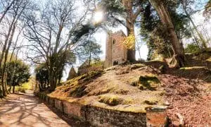 Brownsea Island Thumb