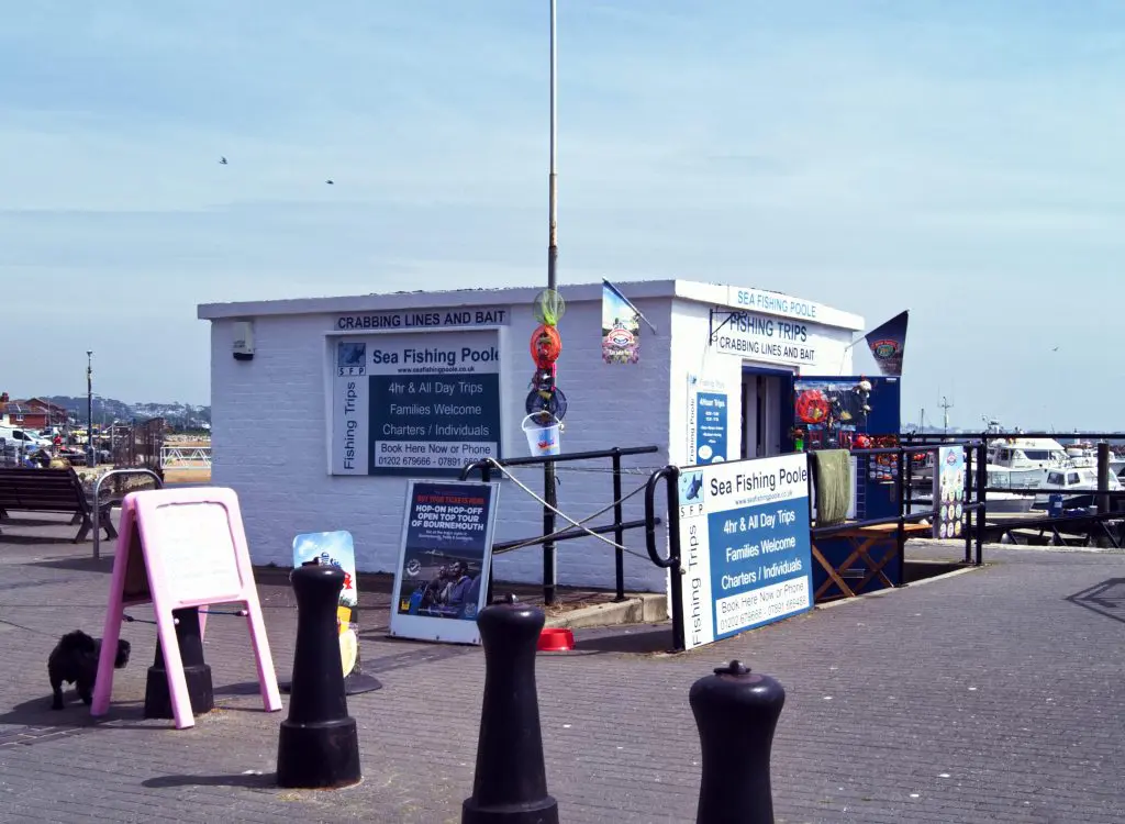 Crabbing and sea fishing trips on Poole Quay