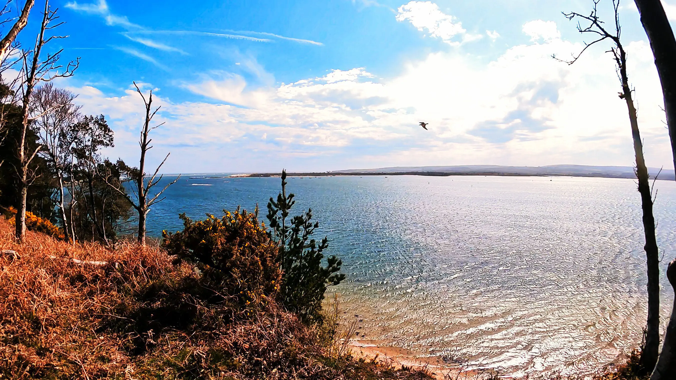 Brownsea Island