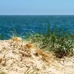 Sand dunes at Sandbanks Beach