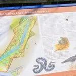 Luscombe Valley Nature Reserve - Sandbanks Poole Dorset UK