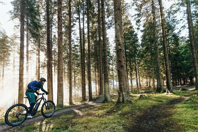 Guided E-Bike Day Trips