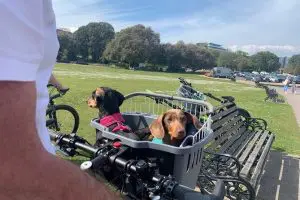 Guided E-Bike Day Trips Thumb