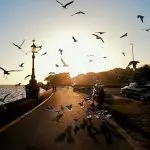 Visit Sandbanks Poole