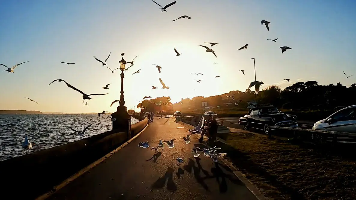 A seaside escape to Sandbanks!