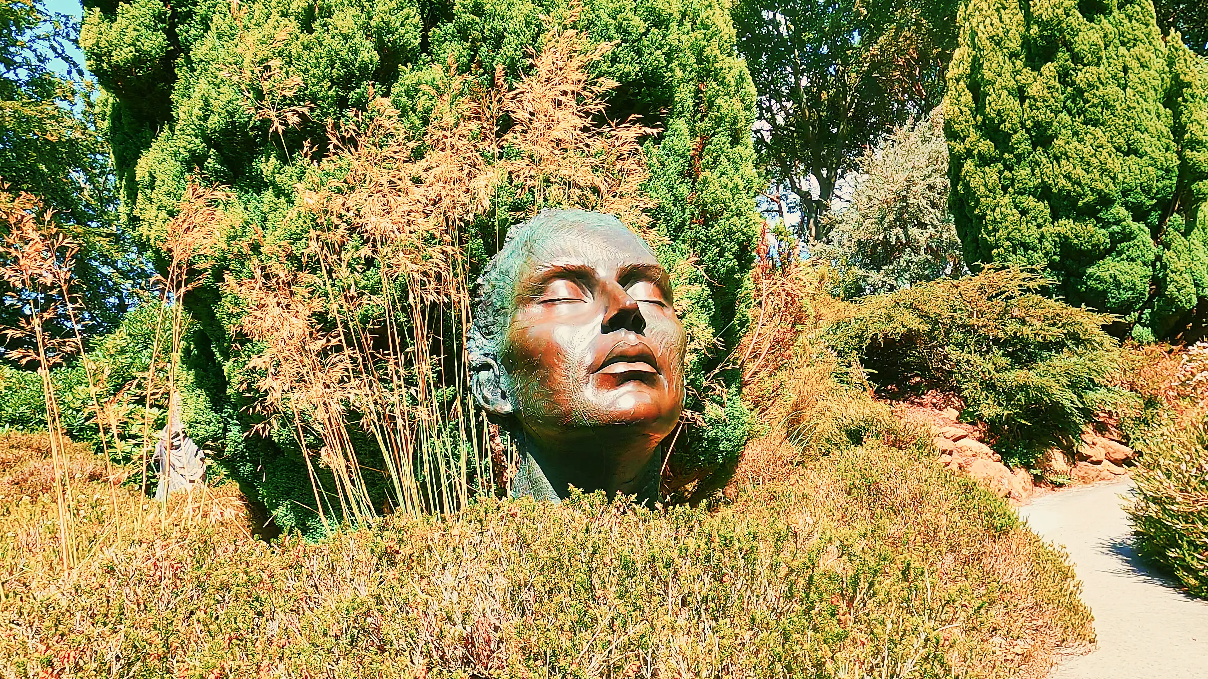 Into The Wild Sculpture Exhibition