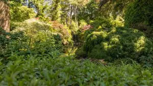 The Summer House Thumb