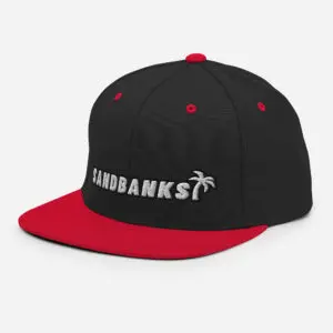SB Classic Snapback Hat Thumb