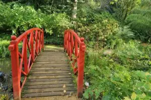 Full Day Guided Small Group Tour of Central Dorset Thumb