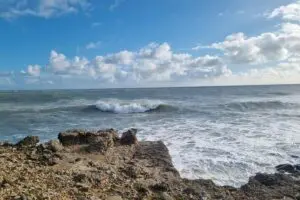Full Day Guided Small Group Tour of Central Dorset Thumb