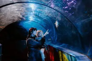 SEA LIFE Adventure Park Thumb