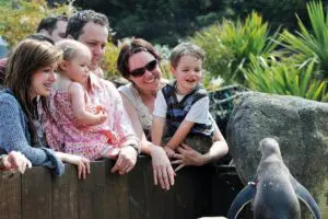 SEA LIFE Adventure Park Thumb