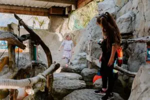 SEA LIFE Adventure Park Thumb