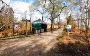 Brownsea Island Thumb