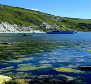 Durdle Door & Lulworth Cove Private Day Trip Thumb