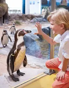 The Oceanarium Thumb