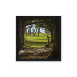 Brownsea Woodland Window – Square Framed Canvas Wall Art thumbnail