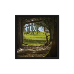Brownsea Woodland Window – Square Framed Canvas Wall Art thumbnail