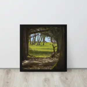 Brownsea Woodland Window – Square Framed Canvas Wall Art thumbnail