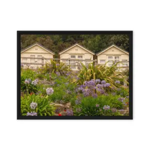 Beach Huts in Bloom – Sandbanks Framed Canvas Wall Art thumbnail