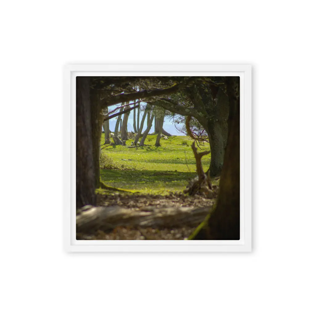 Brownsea Woodland Window – Square Framed Canvas Wall Art