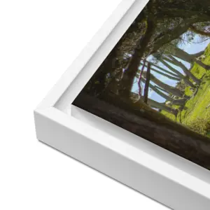 Brownsea Woodland Window – Square Framed Canvas Wall Art thumbnail