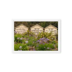 Beach Huts in Bloom – Sandbanks Framed Canvas Wall Art thumbnail