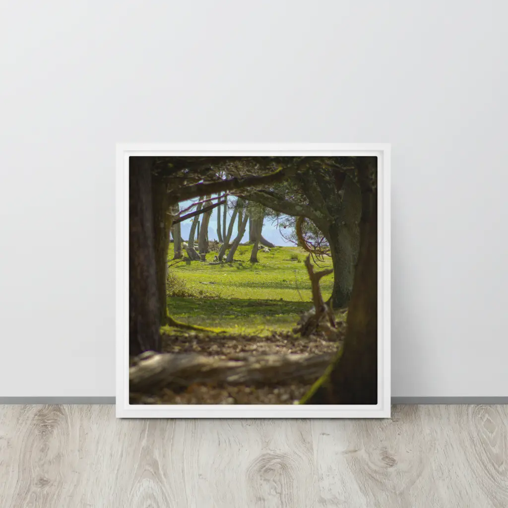Brownsea Woodland Window – Square Framed Canvas Wall Art