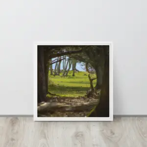 Brownsea Woodland Window – Square Framed Canvas Wall Art thumbnail