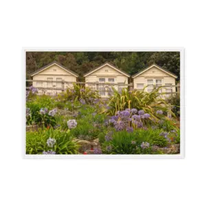 Beach Huts in Bloom – Sandbanks Framed Canvas Wall Art thumbnail
