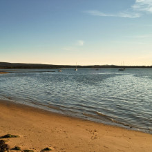 Shell Bay - Isle of Purbeck