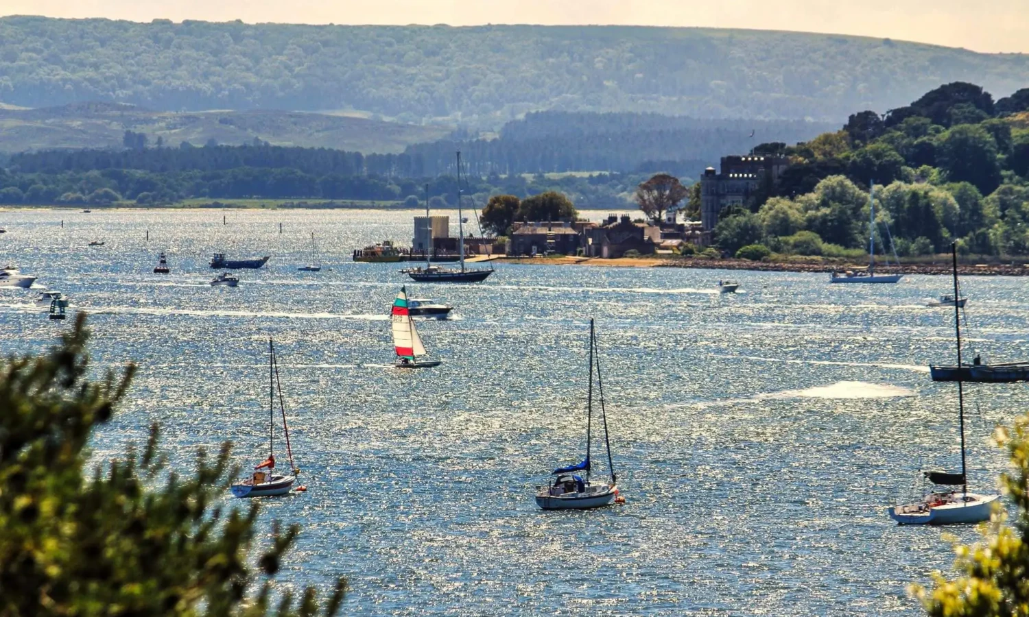 A view over Sandbanks from Evening Hill