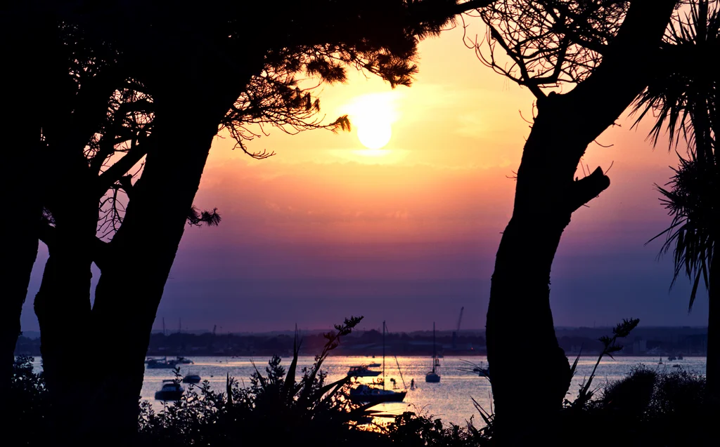Sunset through the trees at Sandbanks