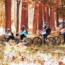 Guided E-bike days out in Dorset