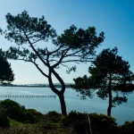 View from Evening Hill to Sandbanks