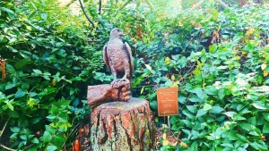 Into The Wild Sculpture Exhibition Thumb