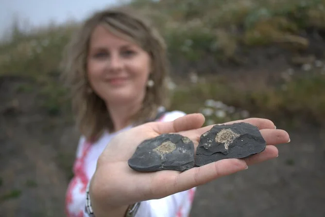 Full Day Jurassic Coast Mini-Coach Tour from Bournemouth