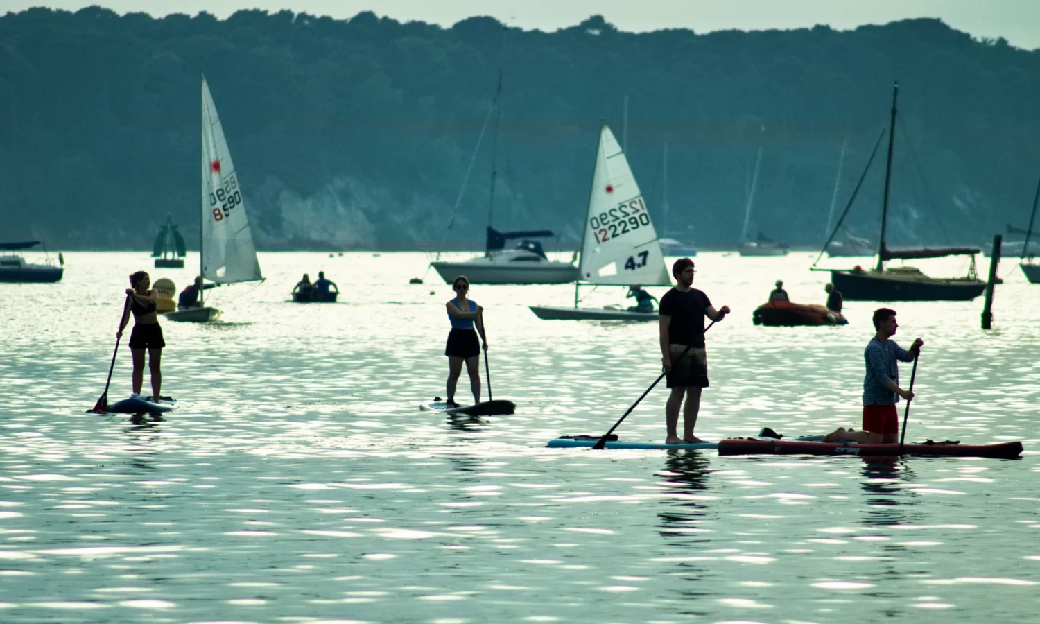 Paddle Boarding with Old Harry