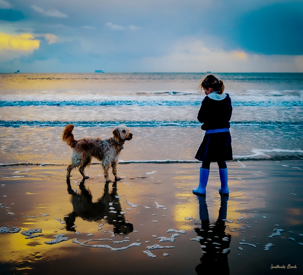 Elina – Dog Friendly Beach at Sandbanks