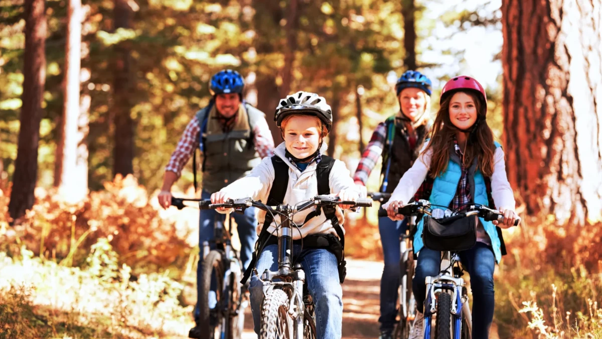 Latest deals on trips & experiences