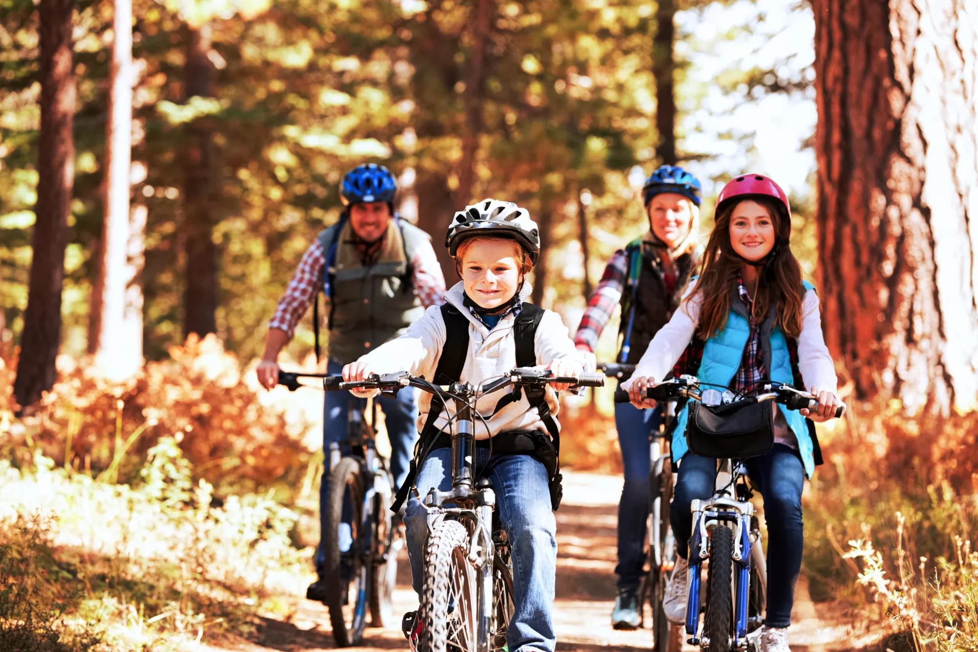 E-Bike Tours