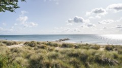 Hook Sands Thumb