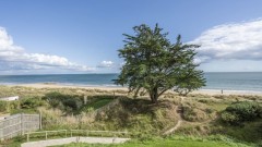 Hook Sands Thumb