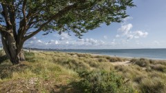 Hook Sands Thumb