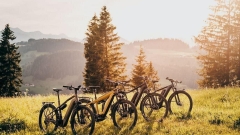 E-Bike Half-Day Trip to Harrys Rock or Corfé Castle Thumb
