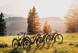 E-Bike Half-Day Trip to Harrys Rock or Corfé Castle Thumb