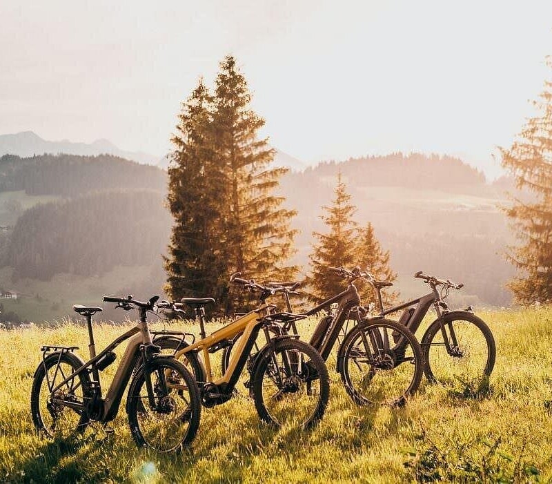 E-Bike Half-Day Trip to Harrys Rock or Corfé Castle